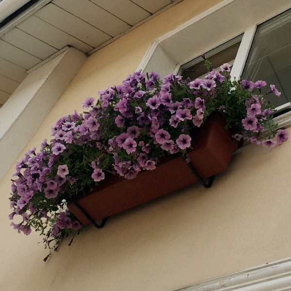 купить балконный ящик для цветов в москве